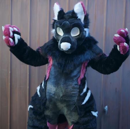 Raoul the wolf Raoul the wolf